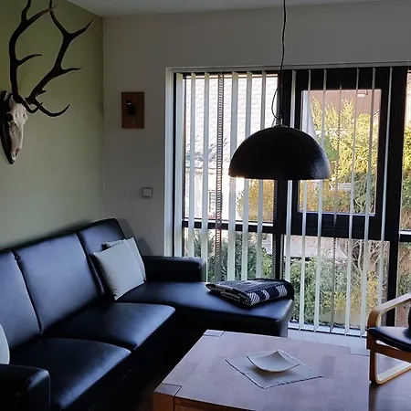 Apartment Moderne- Niveauvoll Eingerichtete By Interhome Eibenstock