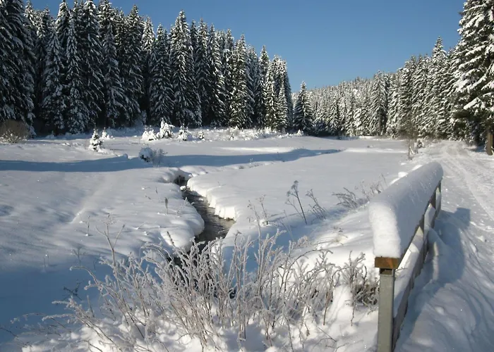 Moderne- Niveauvoll Eingerichtete By Interhome شقة آيبنشتوك